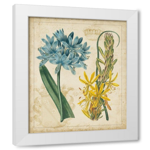 Botanical Repertoire II White Modern Wood Framed Art Print by Vision Studio