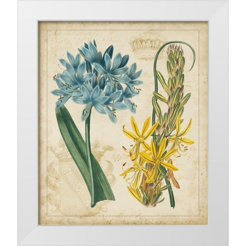 Botanical Repertoire II White Modern Wood Framed Art Print by Vision Studio