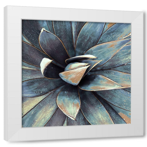 Succulent in Teal I White Modern Wood Framed Art Print by Orlov, Irena