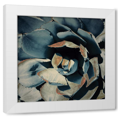 Succulent in Teal II White Modern Wood Framed Art Print by Orlov, Irena