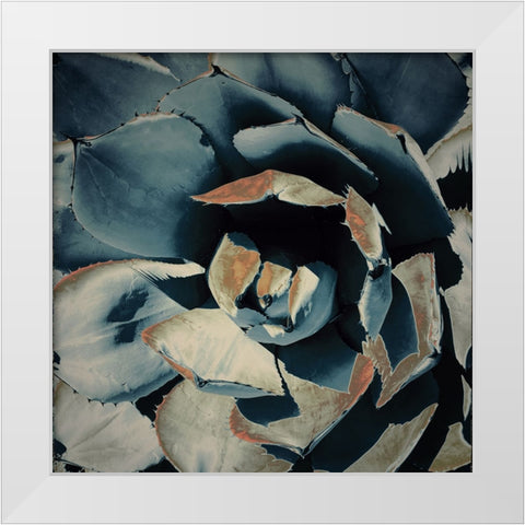 Succulent in Teal II White Modern Wood Framed Art Print by Orlov, Irena