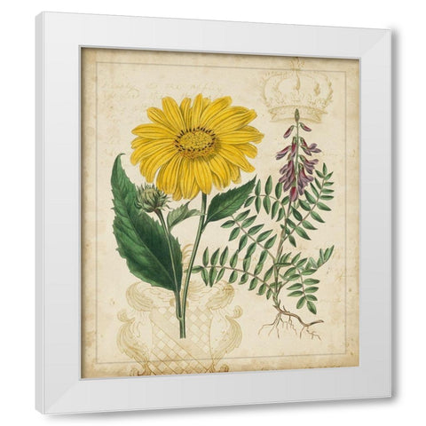 Botanical Repertoire III White Modern Wood Framed Art Print by Vision Studio