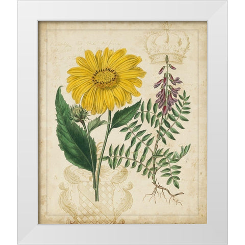 Botanical Repertoire III White Modern Wood Framed Art Print by Vision Studio