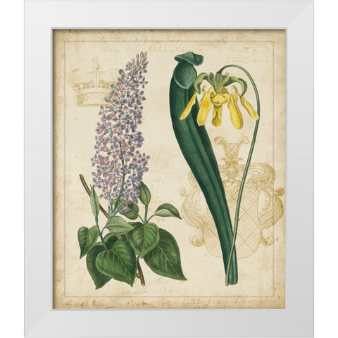 Botanical Repertoire IV White Modern Wood Framed Art Print by Vision Studio