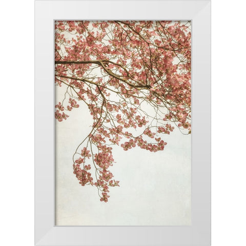 Quiet Spring  I White Modern Wood Framed Art Print by Poinski, Dianne