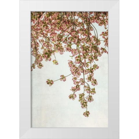 Quiet Spring  II White Modern Wood Framed Art Print by Poinski, Dianne