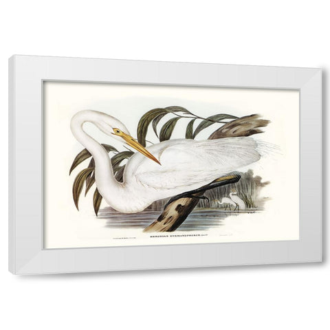 Majestic Waterbird I White Modern Wood Framed Art Print by Gould, Elizabeth