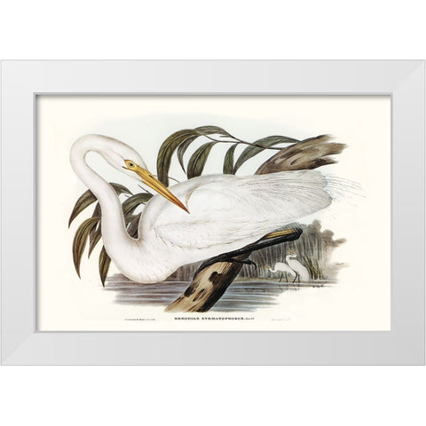 Majestic Waterbird I White Modern Wood Framed Art Print by Gould, Elizabeth