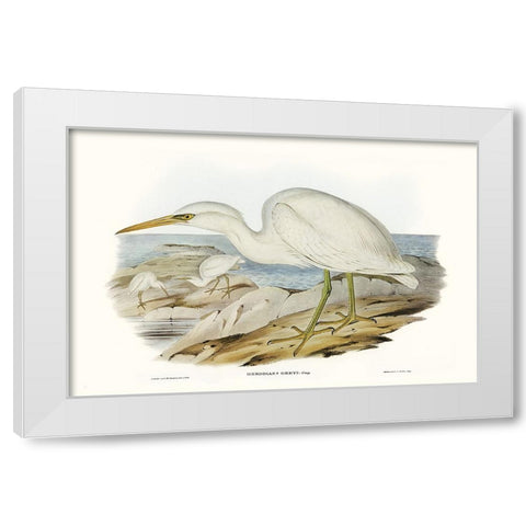 Majestic Waterbird II White Modern Wood Framed Art Print by Gould, Elizabeth