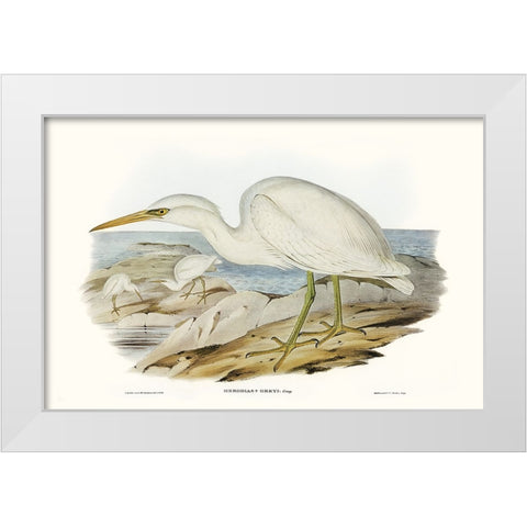 Majestic Waterbird II White Modern Wood Framed Art Print by Gould, Elizabeth