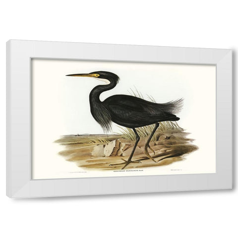 Majestic Waterbird IV White Modern Wood Framed Art Print by Gould, Elizabeth