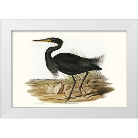 Majestic Waterbird IV White Modern Wood Framed Art Print by Gould, Elizabeth