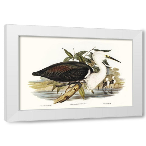 Majestic Waterbird V White Modern Wood Framed Art Print by Gould, Elizabeth