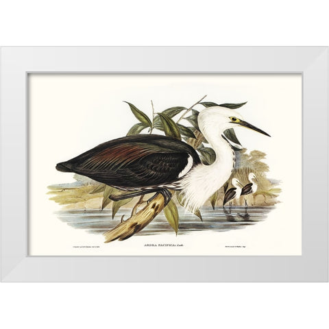 Majestic Waterbird V White Modern Wood Framed Art Print by Gould, Elizabeth