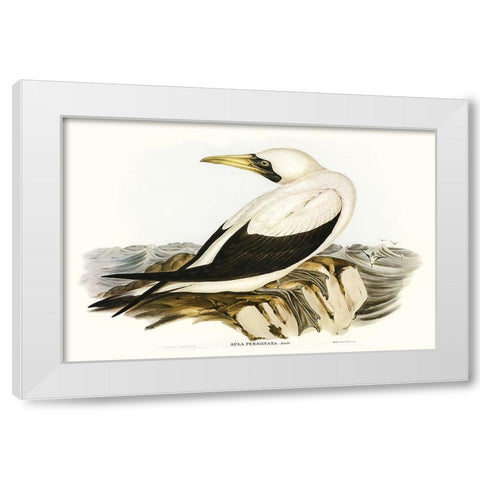 Majestic Waterbird VI White Modern Wood Framed Art Print by Gould, Elizabeth