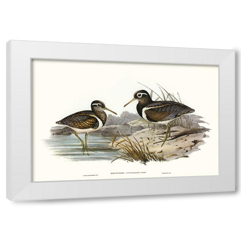 Waterbird Pairing III White Modern Wood Framed Art Print by Gould, Elizabeth
