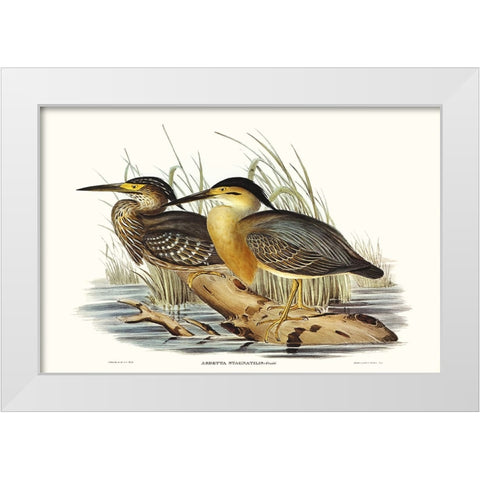 Waterbird Pairing IV White Modern Wood Framed Art Print by Gould, Elizabeth