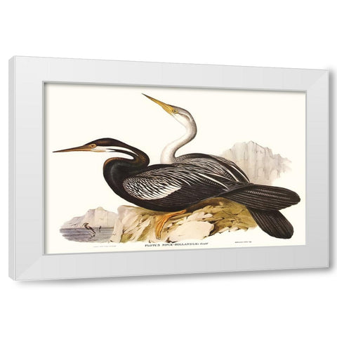 Waterbird Pairing V White Modern Wood Framed Art Print by Gould, Elizabeth