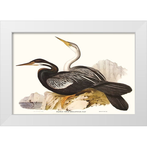 Waterbird Pairing V White Modern Wood Framed Art Print by Gould, Elizabeth