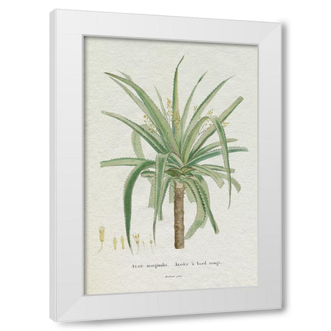 Redoute Succulent II White Modern Wood Framed Art Print by Redoute, Pierre