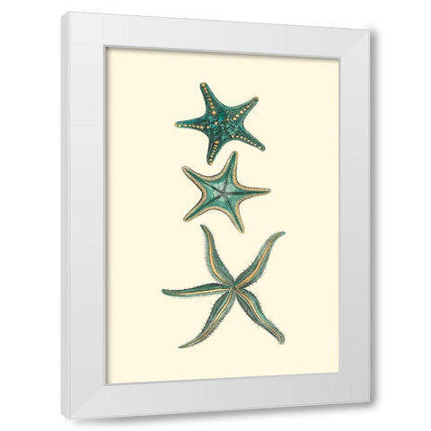 Custom Aquamarine Starfish I White Modern Wood Framed Art Print by Vision Studio