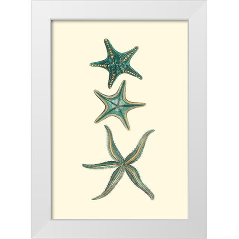 Custom Aquamarine Starfish I White Modern Wood Framed Art Print by Vision Studio