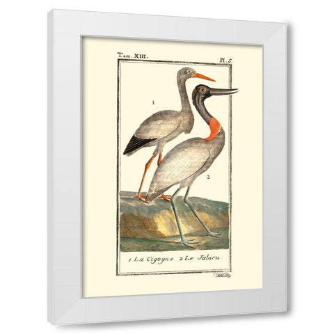 Custom Buffon Cranes And Herons I White Modern Wood Framed Art Print by Buffon