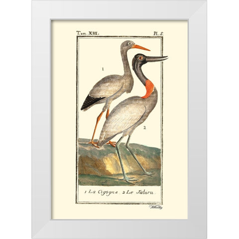 Custom Buffon Cranes And Herons I White Modern Wood Framed Art Print by Buffon
