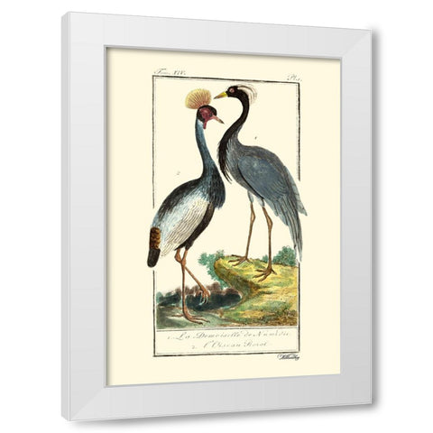 Custom Buffon Cranes And Herons II White Modern Wood Framed Art Print by Buffon