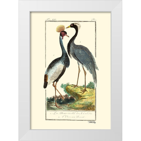 Custom Buffon Cranes And Herons II White Modern Wood Framed Art Print by Buffon
