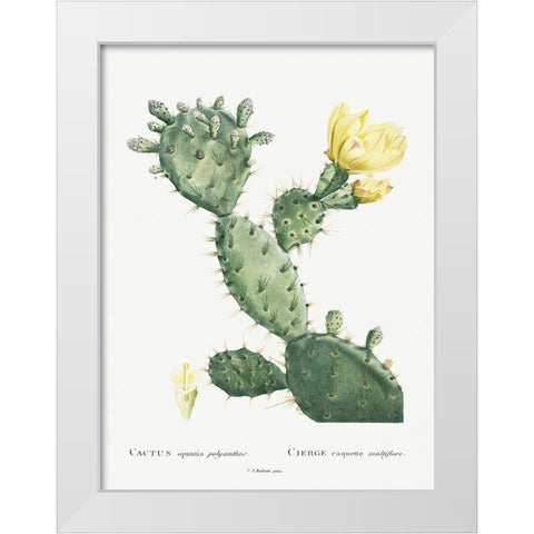 Redoute Cactus I White Modern Wood Framed Art Print by Redoute, Pierre