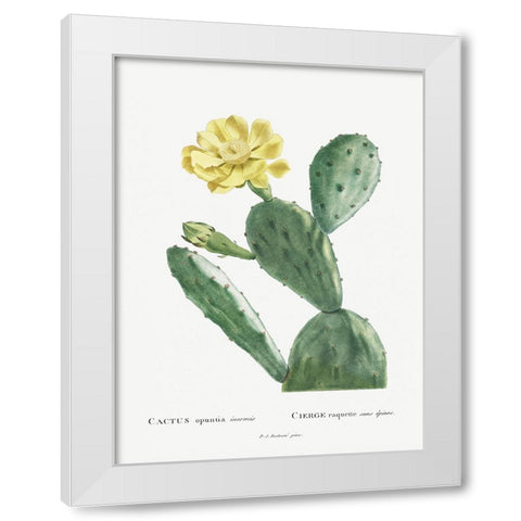 Redoute Cactus II White Modern Wood Framed Art Print by Redoute, Pierre