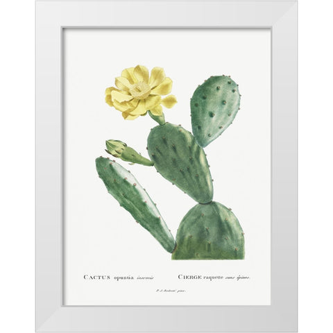 Redoute Cactus II White Modern Wood Framed Art Print by Redoute, Pierre