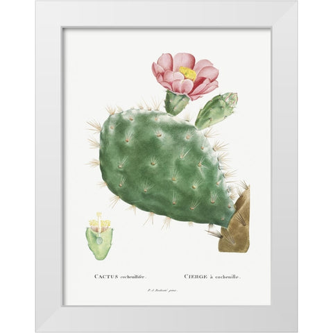 Redoute Cactus III White Modern Wood Framed Art Print by Redoute, Pierre