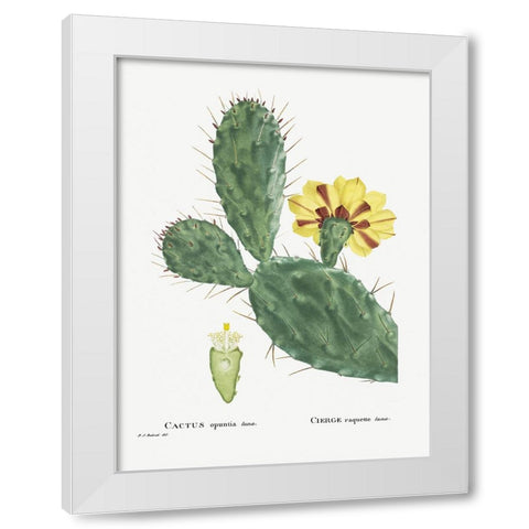 Redoute Cactus IV White Modern Wood Framed Art Print by Redoute, Pierre