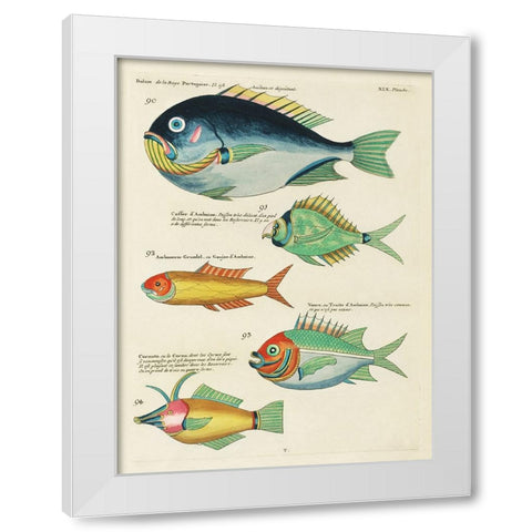 Renard Tropical Fish I White Modern Wood Framed Art Print by Renard, Louis