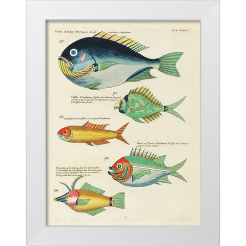 Renard Tropical Fish I White Modern Wood Framed Art Print by Renard, Louis