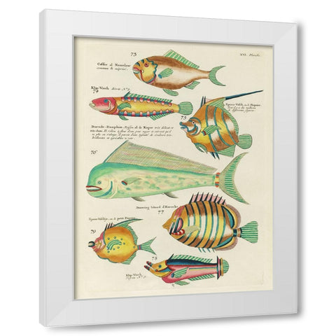 Renard Tropical Fish II White Modern Wood Framed Art Print by Renard, Louis