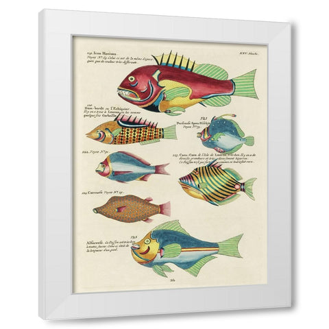 Renard Tropical Fish III White Modern Wood Framed Art Print by Renard, Louis