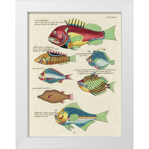 Renard Tropical Fish III White Modern Wood Framed Art Print by Renard, Louis