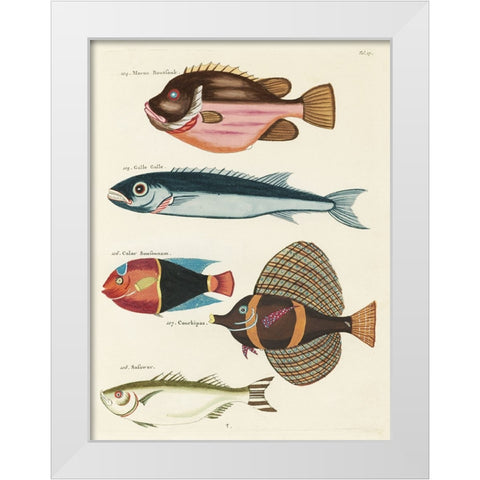 Renard Tropical Fish IV White Modern Wood Framed Art Print by Renard, Louis