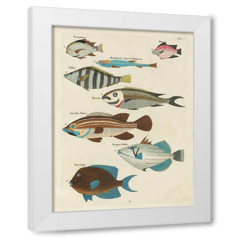 Renard Tropical Fish V White Modern Wood Framed Art Print by Renard, Louis