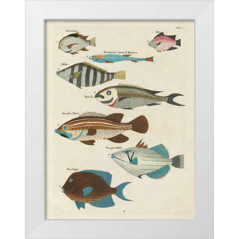 Renard Tropical Fish V White Modern Wood Framed Art Print by Renard, Louis
