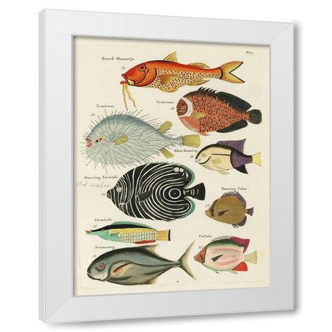 Renard Tropical Fish VI White Modern Wood Framed Art Print by Renard, Louis