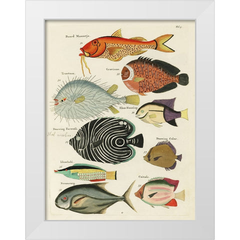 Renard Tropical Fish VI White Modern Wood Framed Art Print by Renard, Louis