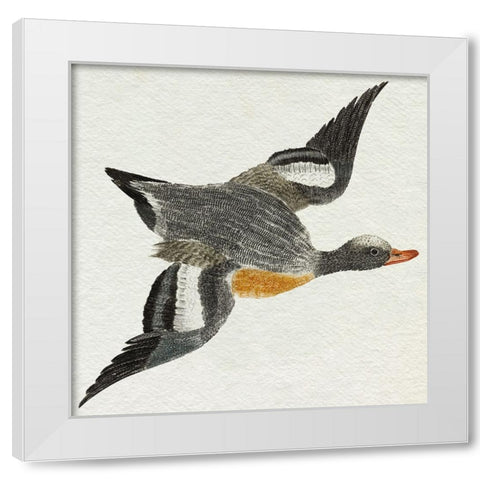 Flying Ducks I White Modern Wood Framed Art Print by Teyler, Johan