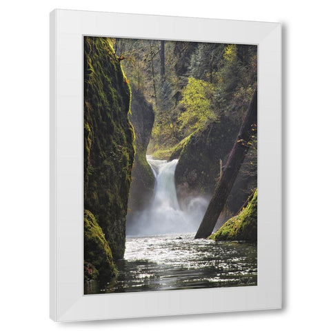 Rapid Waterfall II White Modern Wood Framed Art Print by Drost, David