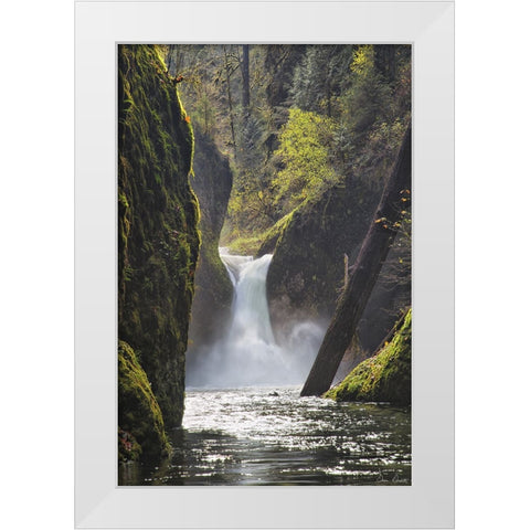 Rapid Waterfall II White Modern Wood Framed Art Print by Drost, David