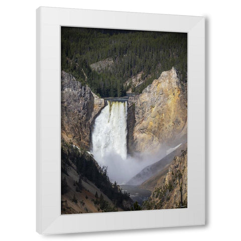 Rapid Waterfall IV White Modern Wood Framed Art Print by Drost, David