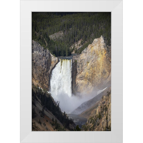 Rapid Waterfall IV White Modern Wood Framed Art Print by Drost, David